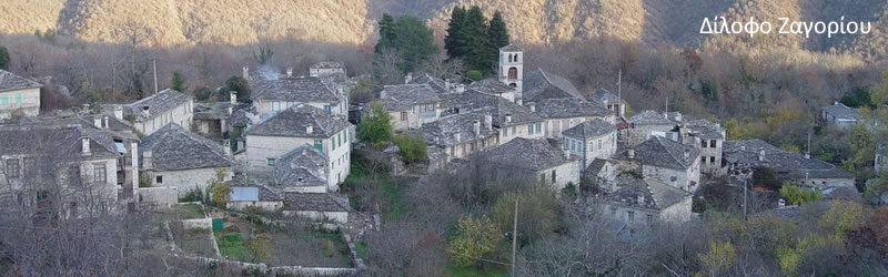 sl dilofo zagori